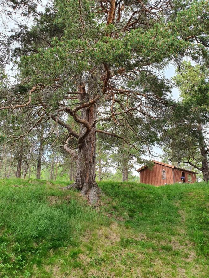 Borkhushyttene Villa Rundtom Dış mekan fotoğraf
